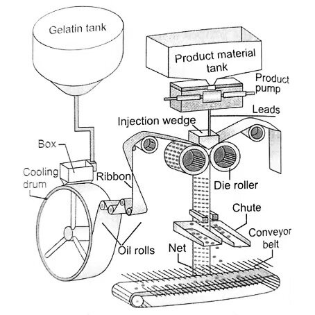 softgel encapsulation process